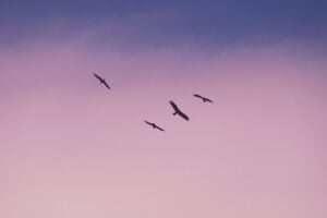 Read more about the article Freedom Starts With Faith