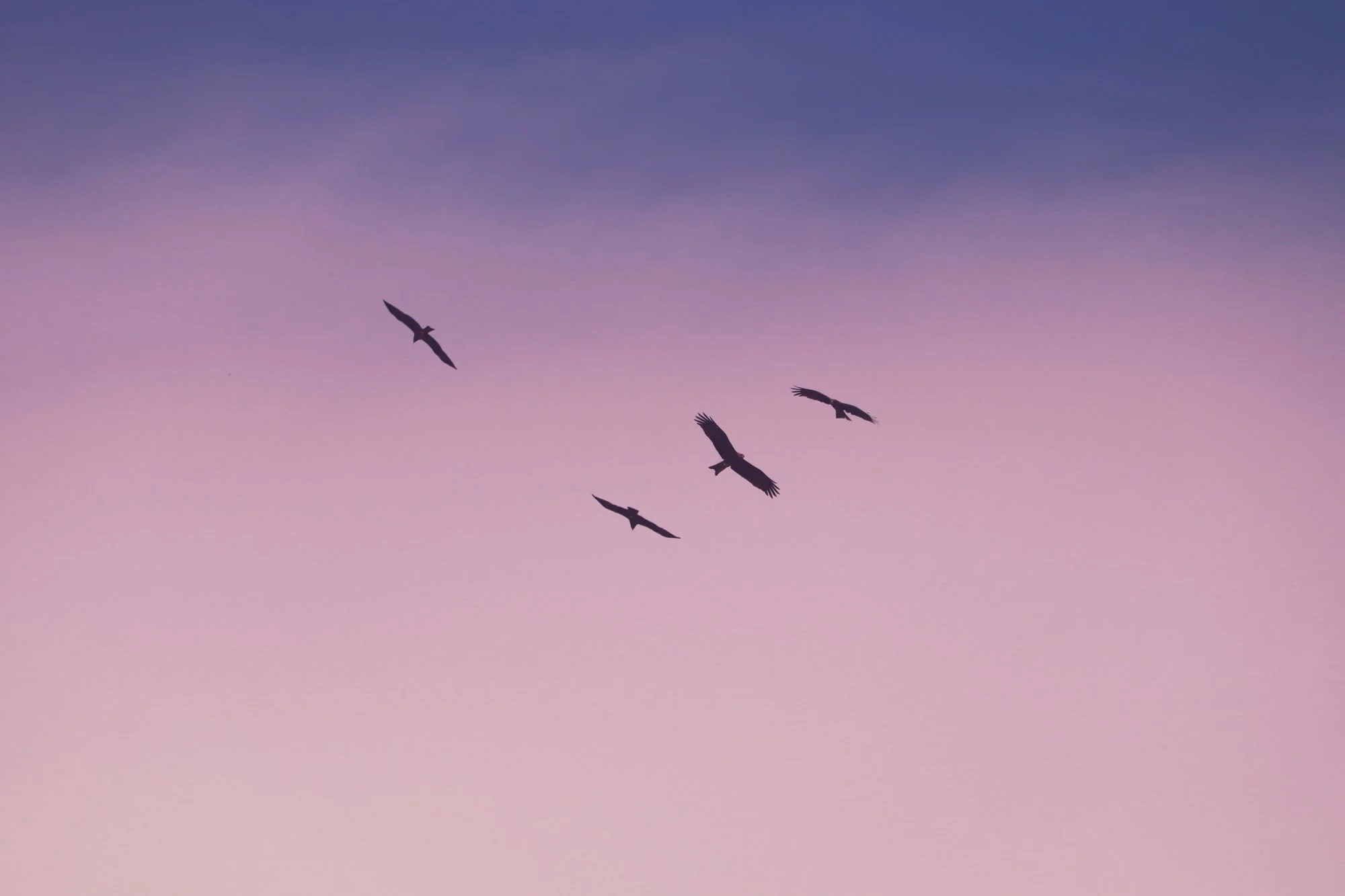 Read more about the article Freedom Starts With Faith