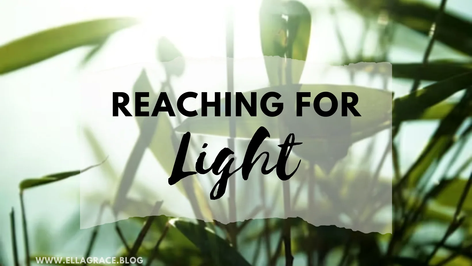 You are currently viewing Reaching For Light: Stretched, Bent, and Struggling